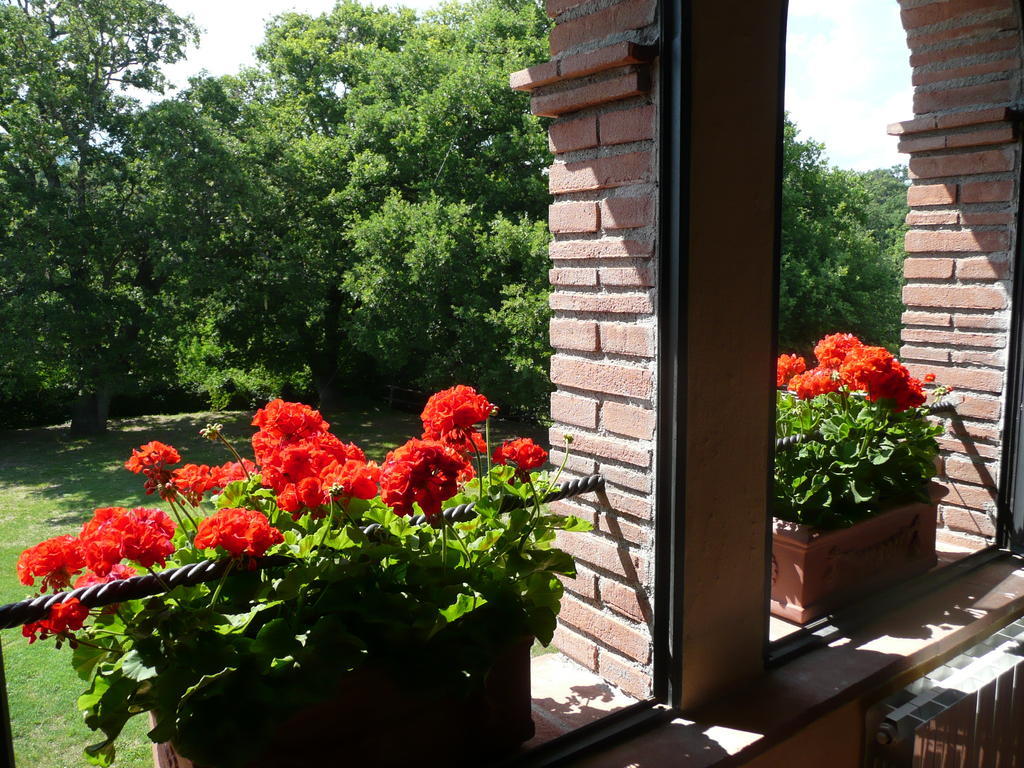 Agriturismo Colli Di Travale Montieri Phòng bức ảnh