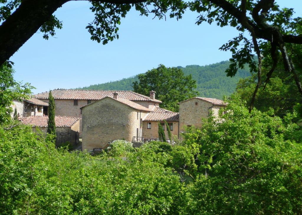 Agriturismo Colli Di Travale Montieri Phòng bức ảnh